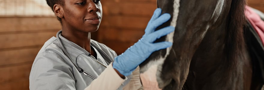 Auxiliaire de santé animale